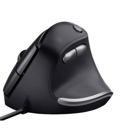 Raton Q-Connect Optico 800 Dpi Usb 1,5 Ghz Negro