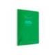 CUADERNO ESPIRAL LIDERPAPEL DIN A4 PAUTAGUIA TAPA PLASTICO 80H 90GR CUADRO PAUTADO 4MM CON MARGEN VERDE