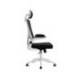 SILLA MARCA Q-CONNECT ERGONOMICA PAL ERMO MALLA BASE NYLON ALT MAX 1300 ANC 610 PROF 600 RUEDAS PREMIUM COLOR BLANCO NEGRO