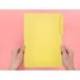 SUBCARPETA CARTULINA LIDERPAPEL FOLIO PESTAÑA SUPERIOR 240G/M2 AMARILLO