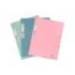 CARPETA MARCA EXACOMPTA AUTENTIK GOMAS CARTON RECICLADO TRES SOLAPAS DIN A4+ PACK DE 6 COLORES SURTIDOS