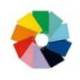 CUADERNO ESPIRAL MARCA LIDERPAPEL DIN A4 WITTY TAPA DURA 80H 90GR CUADRO 4MM CON MARGEN COLORES SURTIDOS