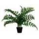 PLANTA ARTIFICIAL MARCA PAPERFLOW HELECHO 55 CM