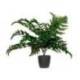 PLANTA ARTIFICIAL MARCA PAPERFLOW HELECHO 55 CM