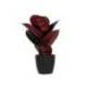 PLANTA ARTIFICIAL MARCA PAPERFLOW FICUS ELASTICA 36 CM