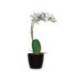 FLOR ARTIFICIAL MARCA PAPERFLOW ORQUIDEA BLANCA 40 CM
