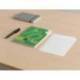 RECAMBIO MARCA LIDERPAPEL DIN A5 100 HOJAS 75 GR PAUTA 4 3.5MM CON MARGEN 6 TALADROS