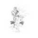 Lapices de grafito Faber Castell 9000 6H