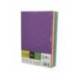PAPEL COLOR MARCA LIDERPAPEL DIN A4 80 GR 5 COLORES SURTIDOS INTENSOS PAQUETE DE 500 HOJAS