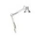 LAMPARA DE ESCRITORIO MAUL STUDY CON PINZA PLATA 170X440X350 MM