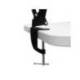 LAMPARA DE ESCRITORIO MAUL STUDY CON PINZA NEGRO 170X440X350 MM
