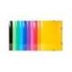 CARPETA EXACOMPTA GOMAS CARTON 600 GR TRES SOLAPAS DIN A3 COLORES SURTIDOS