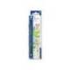 Lapiz de Color Staedtler Wopex Ecológico Hexagonal Verde