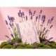 AGENDA OFICINA MARCA LIDERPAPEL 2027 ENCUADERNADA FLOWERS A SEMANA VISTA A5 BILINGUE 70G PAPEL FSC DESIGN 2