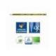 LAPICES DE GRAFITO MARCA STAEDTLER NORIS 120 N.2 HB EXPOSITOR DE 100 UNIDADES