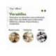 VASO DE CARTON BIODEGRADABLE BLANCO 220 CC PAQUETE DE 50 UDS