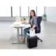 DESTRUCTORA DE DOCUMENTOS FELLOWES LX-65 CAPACIDAD DE CORTE 10 H SEGURIDAD P4 DESTRUYE GRAPAS CLIPS