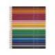 LAPICES DE COLORES COLOR UP CAJA DE 12 UNIDADES SURTIDOS BIC