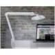 LAMPARA DE ESCRITORIO MARCA MAUL LED CON PINZA CABEZAL INCLINABLE Y GIRATORIO COLOR BLANCO